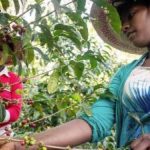 Bekijk Ethiopië - Kercha op Zjee Café