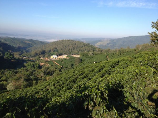 Bekijk Brazil - Fazenda das Almas op Zjee Café