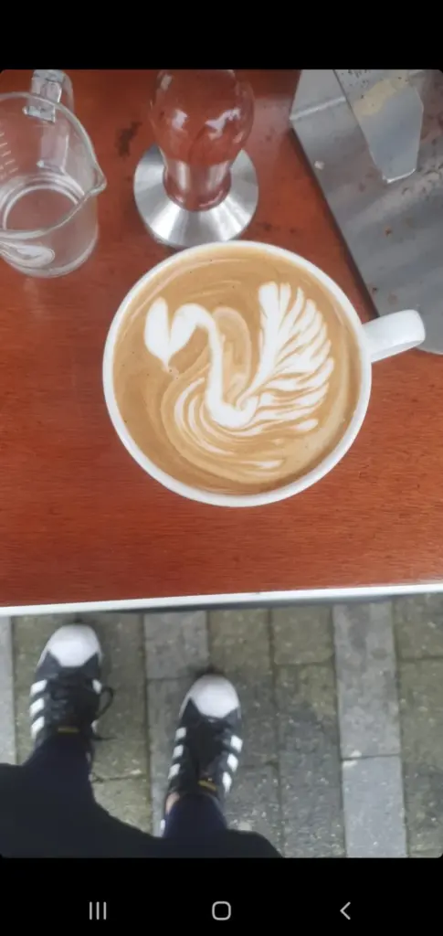 Latte art in de vorm van een zwaan